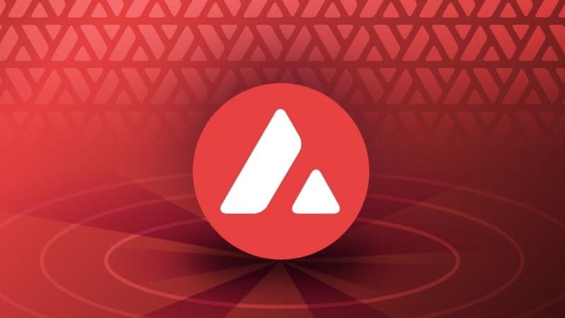 How The AVAX Avalanche Network Works