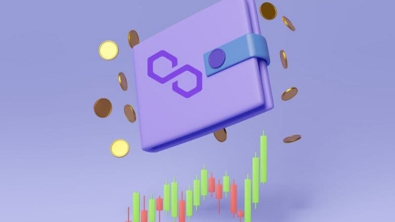 How to Choose The Best Polygon Wallet