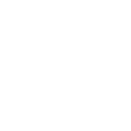 Monocerus
