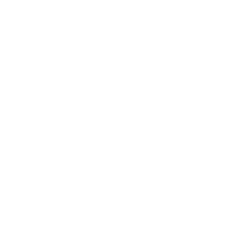 The Ada