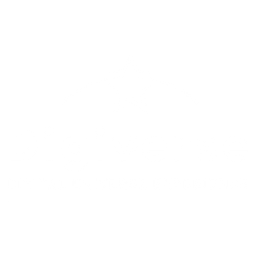 Digiverse